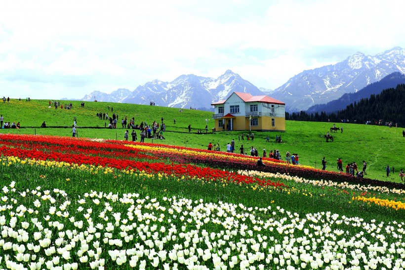 点击大图看下一张：新疆江布拉克草原风景图片