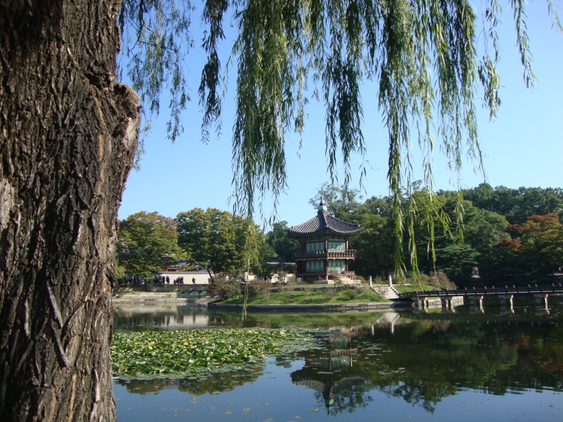 点击大图看下一张：韩国景福宫风景图片