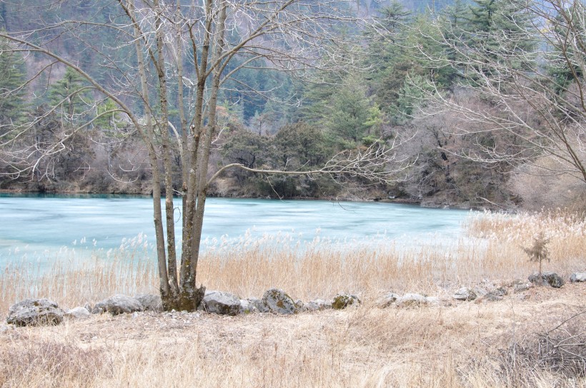 点击大图看下一张：四川九寨沟冬景图片