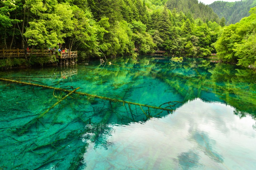 点击大图看下一张：四川九寨沟风景图片