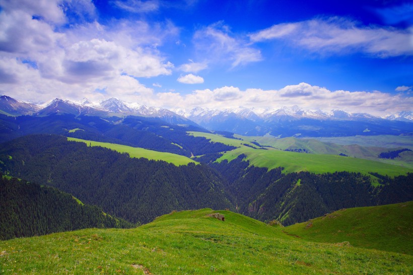点击大图看下一张：新疆喀拉峻草原风景图片