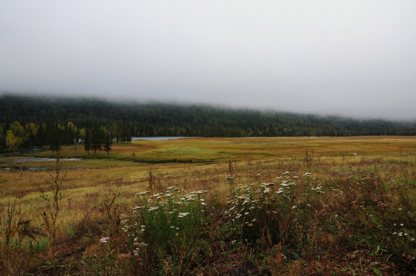 点击大图看下一张：新疆喀纳斯湖风景图片