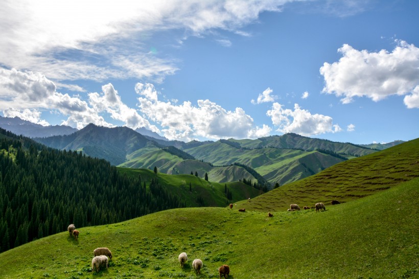 点击大图看下一张：新疆科克尔斯陶牧区风景图片