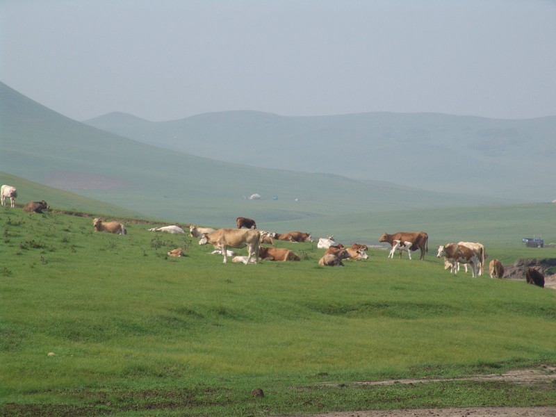 点击大图看下一张：内蒙古克什克腾世界地质公园风景图片