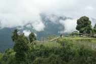 快乐之城不丹图片_22张