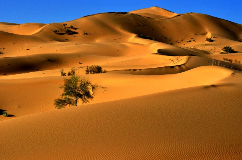点击大图看下一张：内蒙古库布齐沙漠风景图片