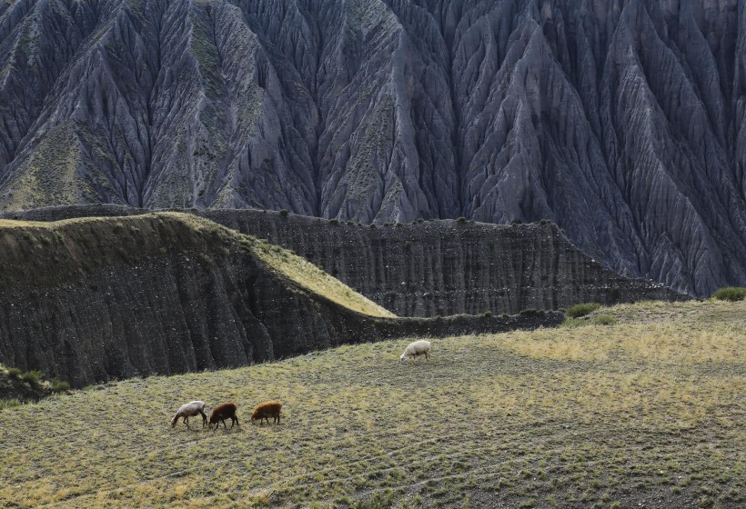 点击大图看下一张：新疆奎屯风景图片