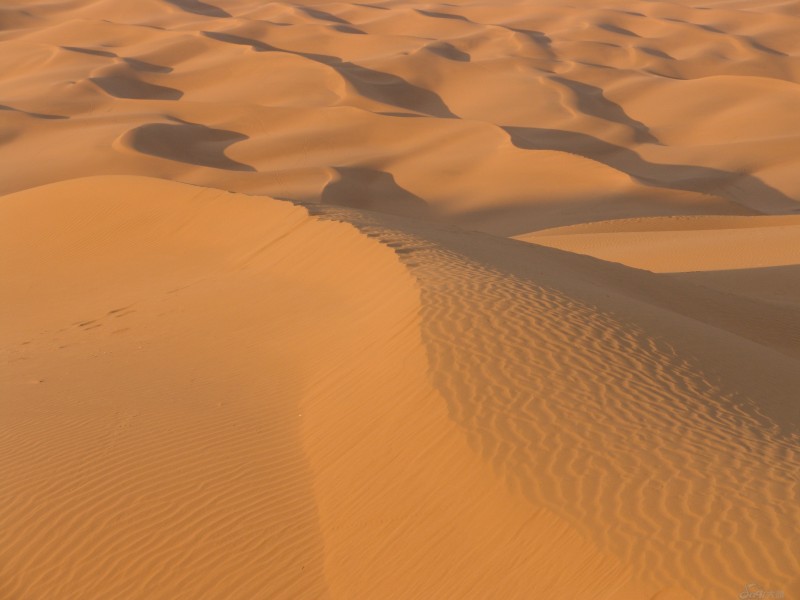 点击大图看下一张：新疆库姆塔格沙漠图片