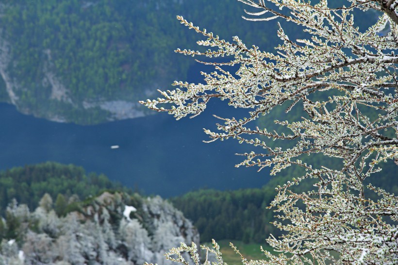 点击大图看下一张：景色优美的博登湖图片