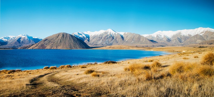 点击大图看下一张：新西兰白鹭湖风景图片