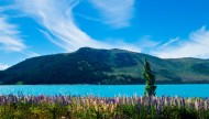 新西兰特卡波湖风景图片_17张