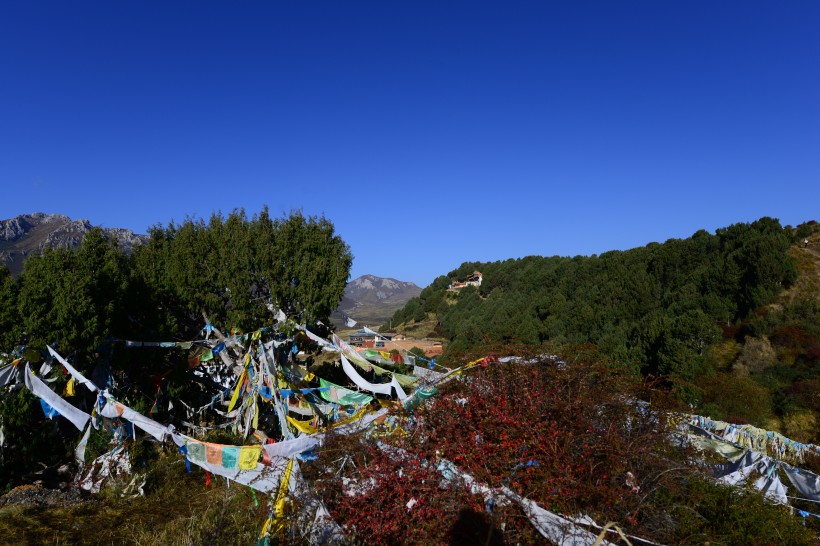 点击大图看下一张：甘肃郎木寺风景图片