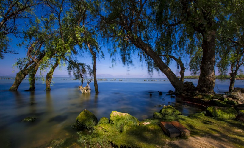 点击大图看下一张：云南昆明捞鱼河湿地公园风景图片
