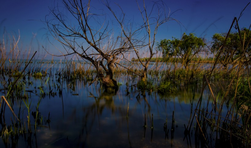 点击大图看下一张：云南昆明捞鱼河湿地公园风景图片