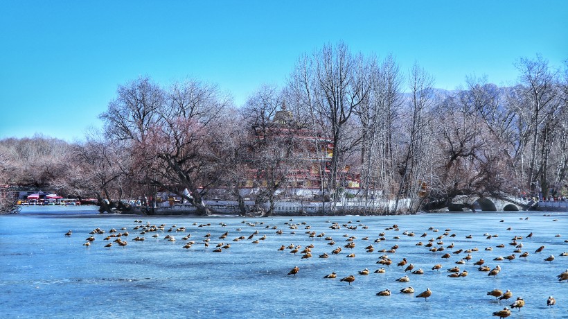 点击大图看下一张：西藏拉萨冬季风景图片