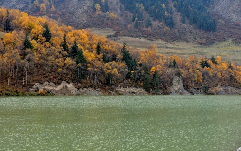 点击大图看下一张：青海冷龙岭秋季风景图片