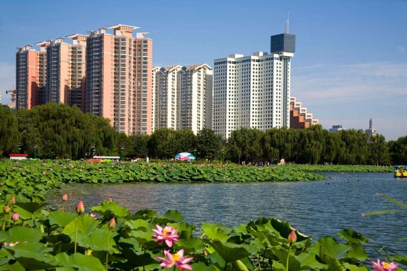 点击大图看下一张：北京市莲花池公园图片