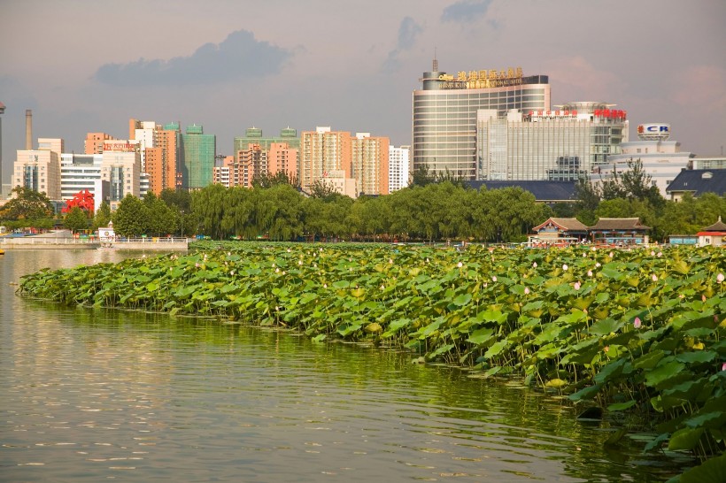 点击大图看下一张：北京市莲花池公园图片
