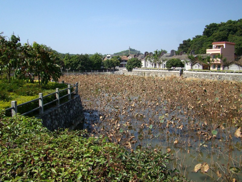 点击大图看下一张：莲塘村风景图片