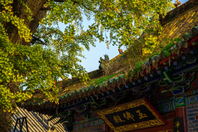 点击大图看下一张：河南洛阳宜阳灵山寺风景图片
