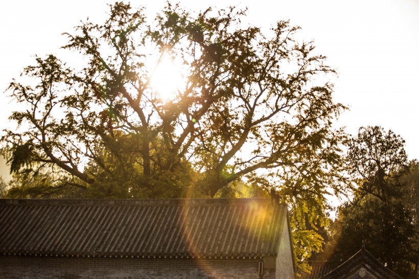 点击大图看下一张：河南洛阳宜阳灵山寺风景图片