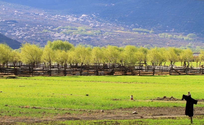 点击大图看下一张：西藏林芝风景图片