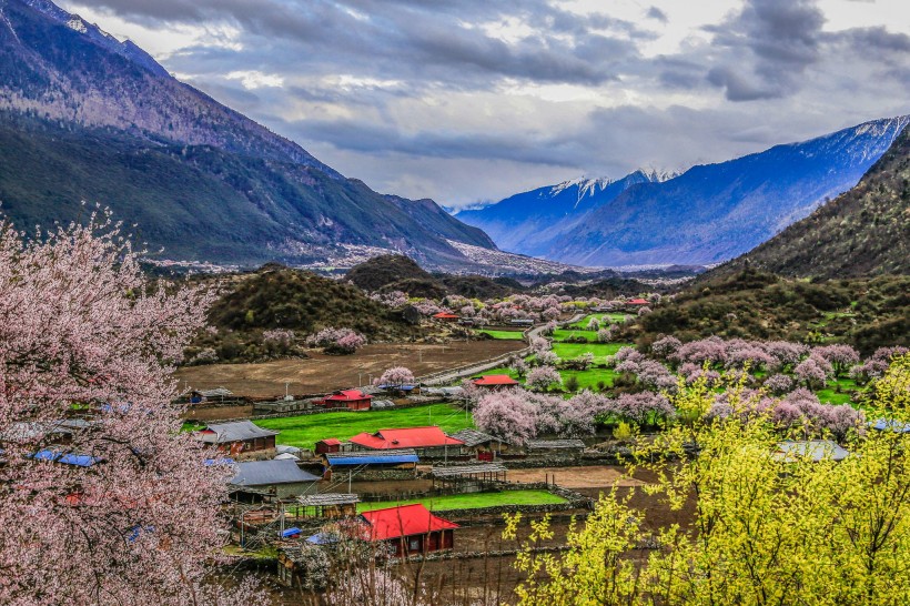 点击大图看下一张：西藏林芝桃花沟风景图片