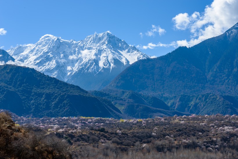 点击大图看下一张：西藏林芝巍峨雪山风景图片