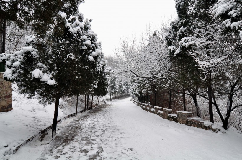 点击大图看下一张：河南林州雪景图片