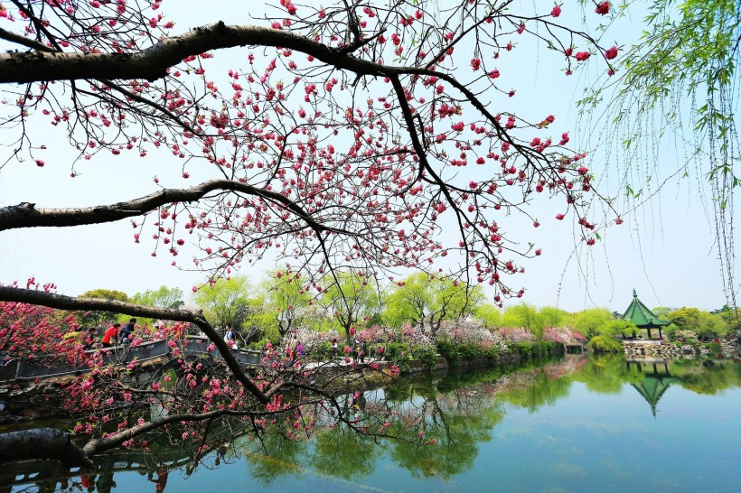 点击大图看下一张：江苏无锡蠡园风景图片