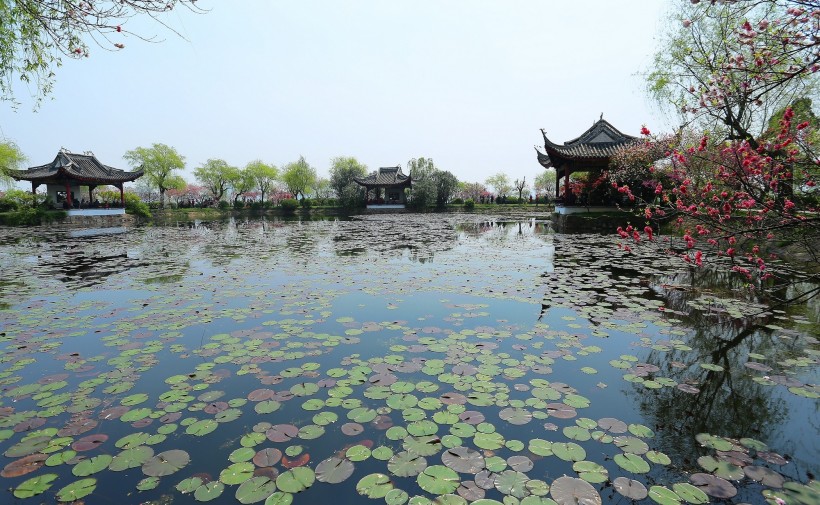 点击大图看下一张：江苏无锡蠡园风景图片