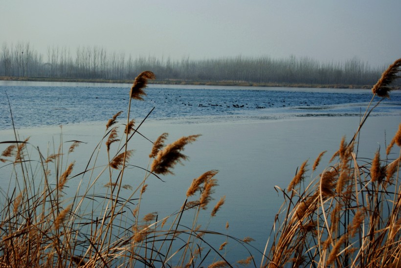 点击大图看下一张：河南龙湖风景图片