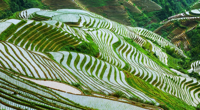 点击大图看下一张：广西龙胜梯田风景图片