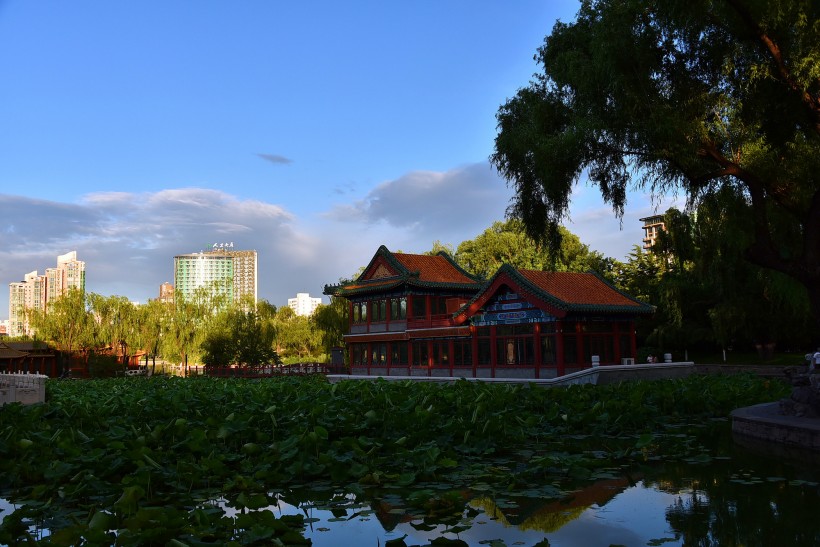 点击大图看下一张：北京龙潭公园风景图片