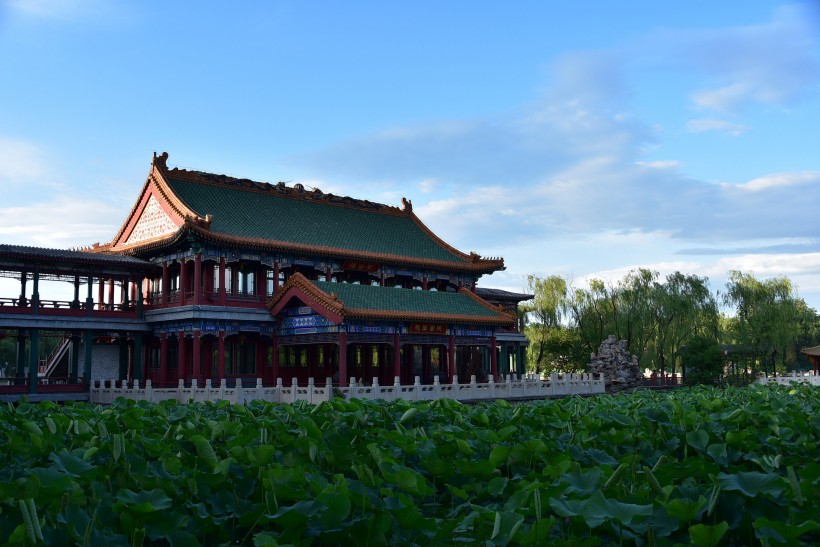 点击大图看下一张：北京龙潭公园风景图片