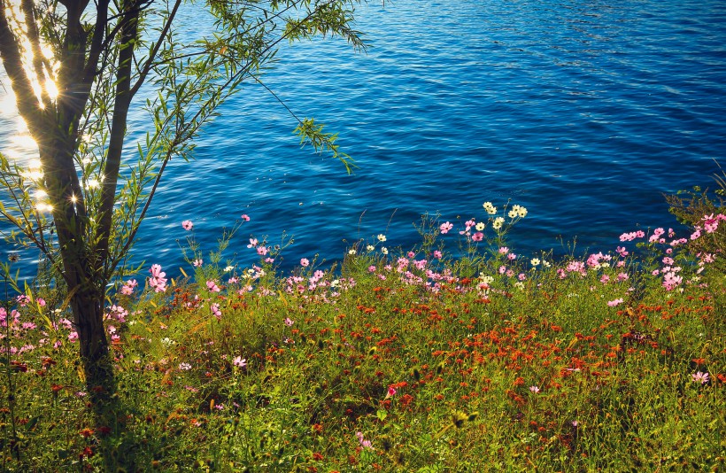 点击大图看下一张：四川泸沽湖风景图片