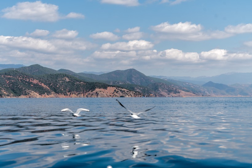 点击大图看下一张：云南泸沽湖风景图片