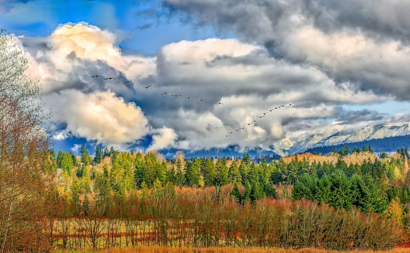 点击大图看下一张：加拿大温哥华鹿湖公园风景图片