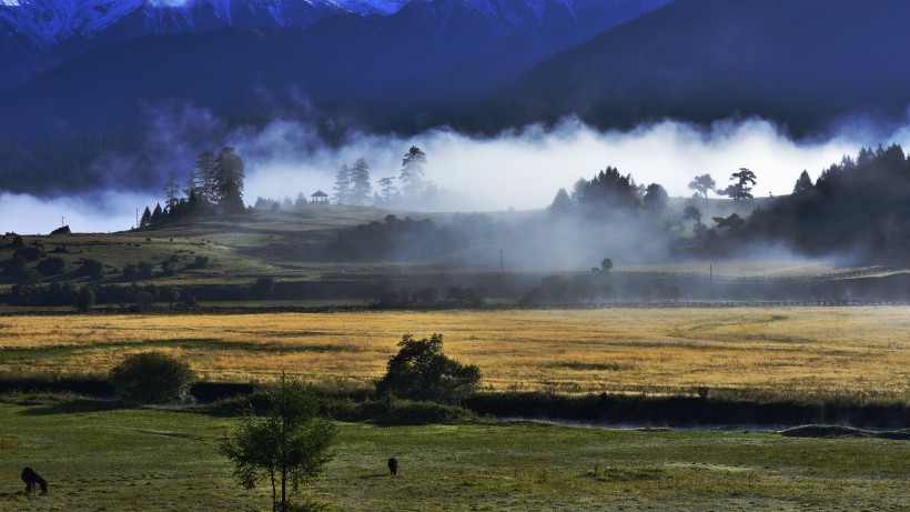 点击大图看下一张：西藏鲁朗风景图片