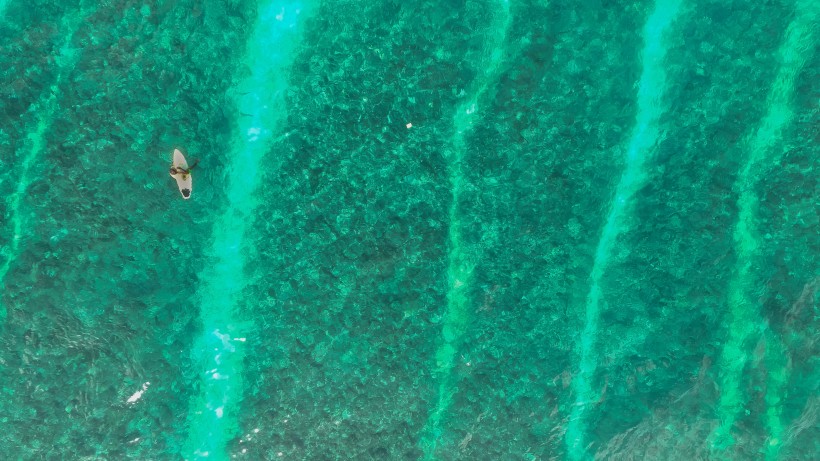 点击大图看下一张：马尔代夫共和国清澈见底的海水图片