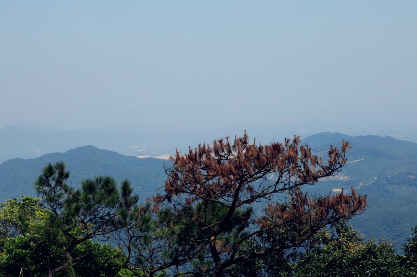 点击大图看下一张：广东广州帽峰山风景图片