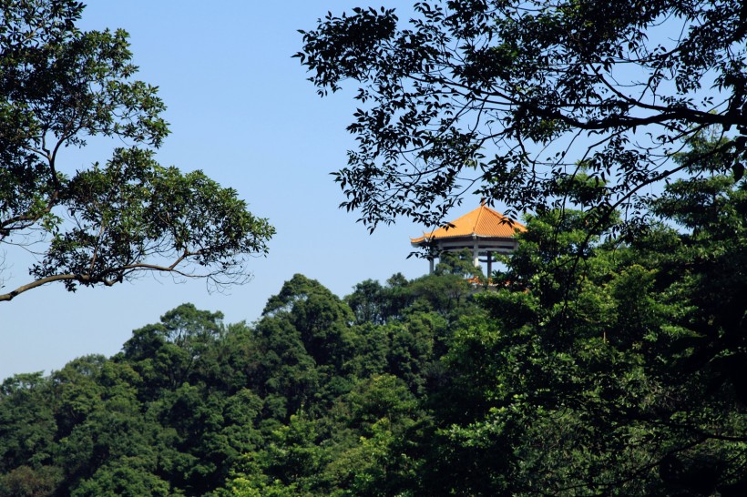 点击大图看下一张：广东广州帽峰山风景图片