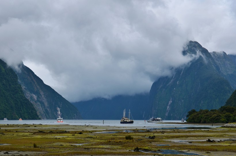 点击大图看下一张：新西兰米尔福德峡湾风景图片