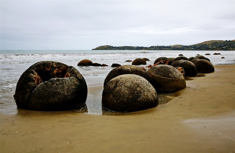 点击大图看下一张：新西兰蓝岛摩拉基大圆石图片