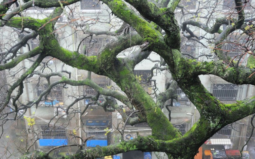 点击大图看下一张：普陀山风景图片