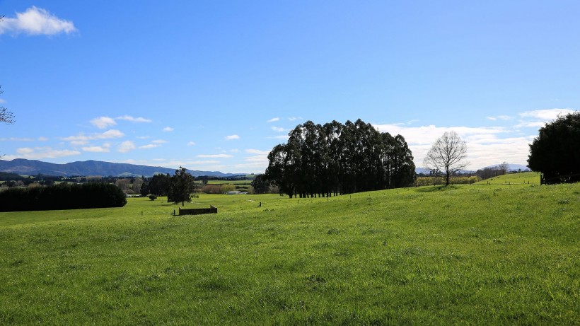 点击大图看下一张：新西兰牧场风景图片