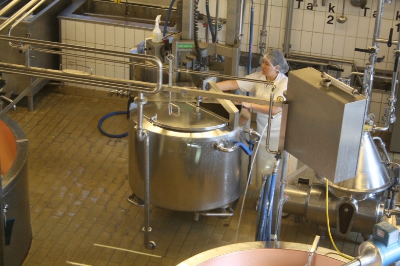 点击大图看下一张：瑞士奶酪工厂图片