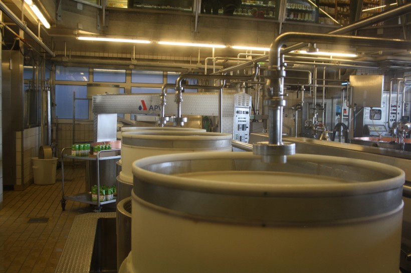 点击大图看下一张：瑞士奶酪工厂图片