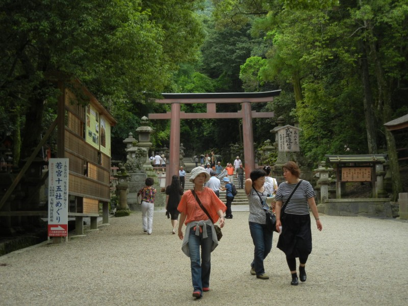 点击大图看下一张：日本奈良风景图片
