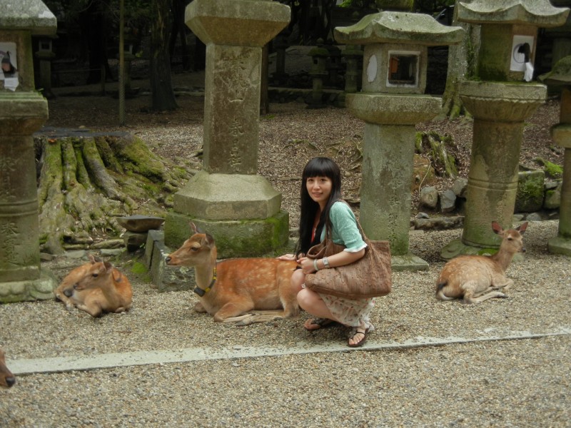 点击大图看下一张：日本奈良风景图片